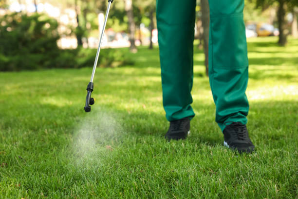 Best Mosquito Control Services  in The Crossings, FL