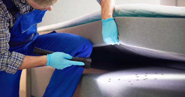 Best Emergency Pest Control  in The Crossings, FL